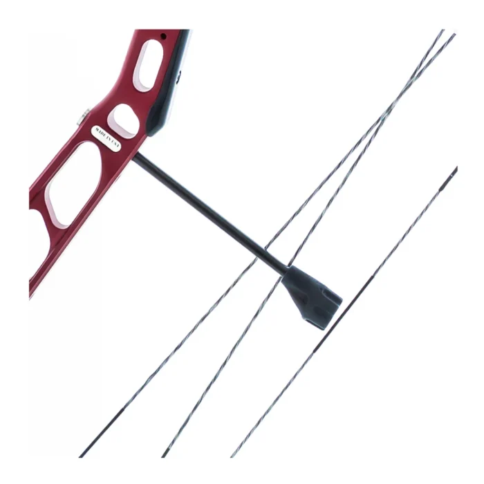 PSE Lazer Compound Target Bow - Image 4